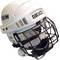 Ice + Street Hockey category icon/image