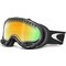 Snow Goggle