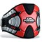 Windsurf Trapez
