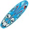Windsurf Boards