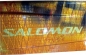 Preview: SALOMON Ski SCREAM 80 limited