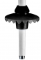 Preview: LEKI Ski Stock STELLA S  white anthracite
