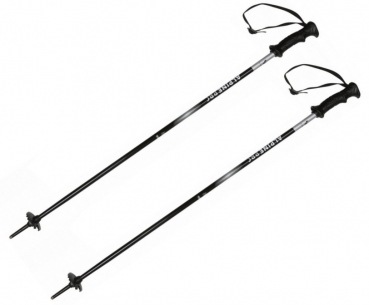 WITEBLAZE Junior Ski Stöcke  Alpin PRC black silver