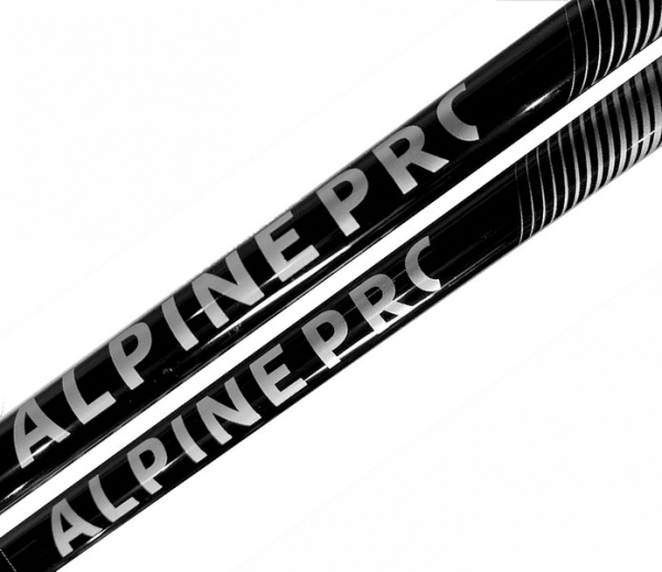 WITEBLAZE Junior Ski Stöcke  Alpin PRC black silver